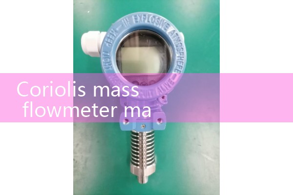 Coriolis mass flowmeter manufacturer